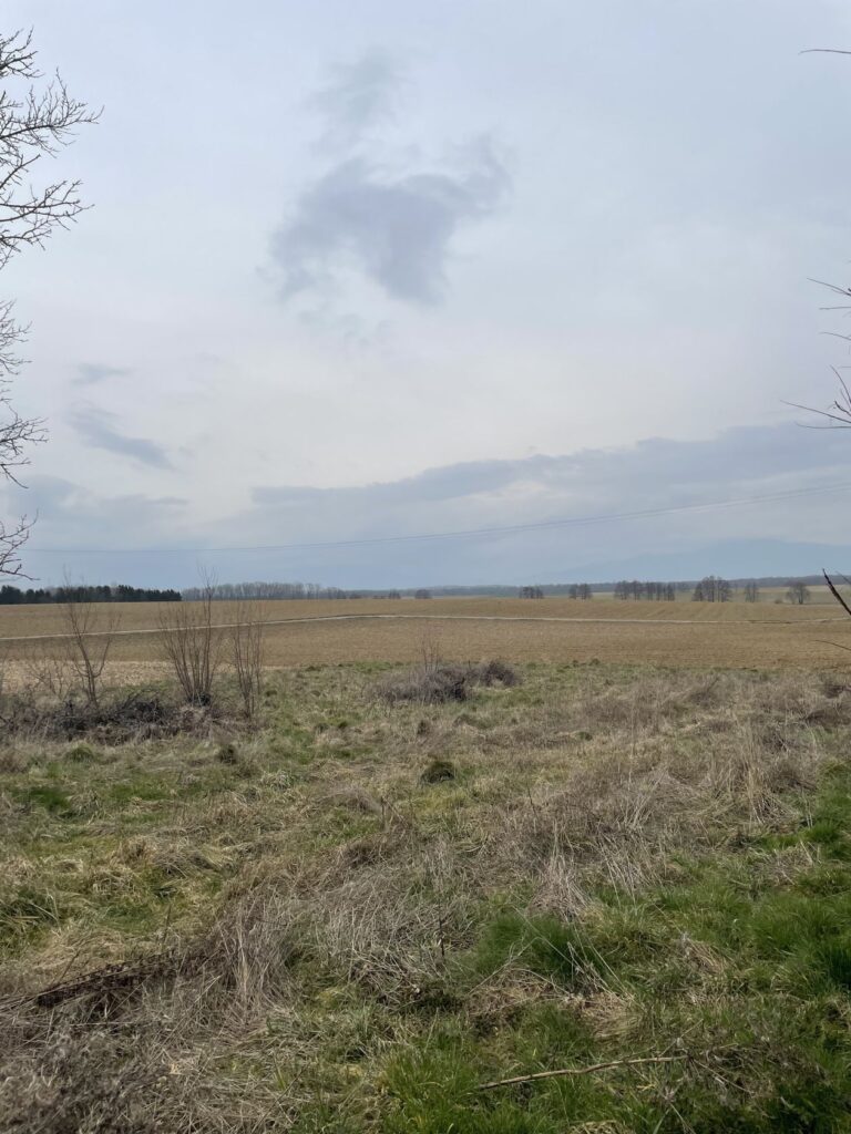Terrain à bâtir de 355 m² à GALFINGUE (68)