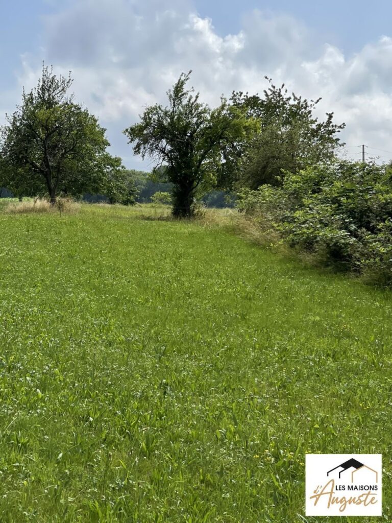 Terrain à bâtir de 515 m² à MUESPACH-LE-HAUT (68)