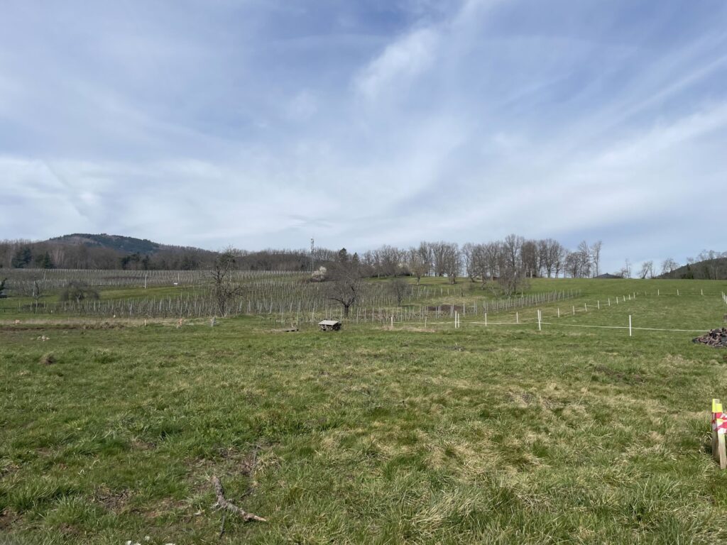Terrain à bâtir de 390 m² à WUENHEIM (68)